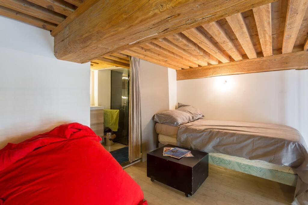 Duplex Le Vorace Apartment Lyon Luaran gambar